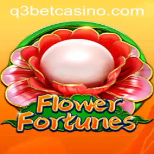 q3bet Casino App